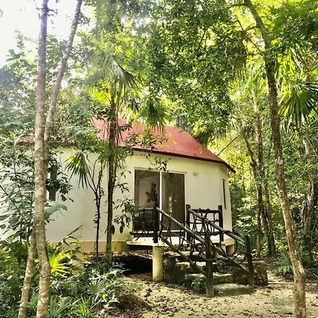 Jolie Jungle Eco Hotel (Adults Only) Leona Vicario Екстер'єр фото