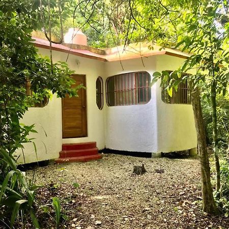 Jolie Jungle Eco Hotel (Adults Only) Leona Vicario Екстер'єр фото