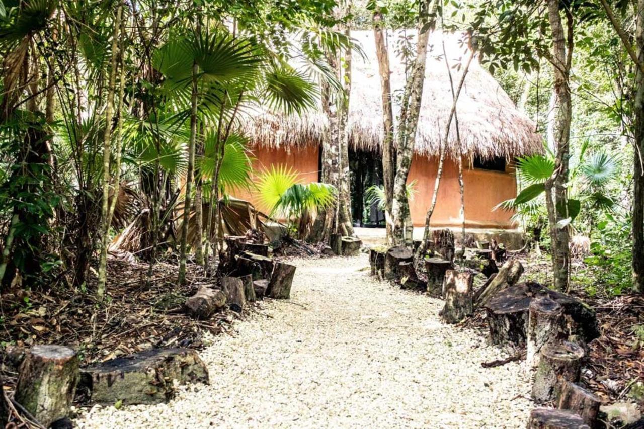 Jolie Jungle Eco Hotel (Adults Only) Leona Vicario Екстер'єр фото