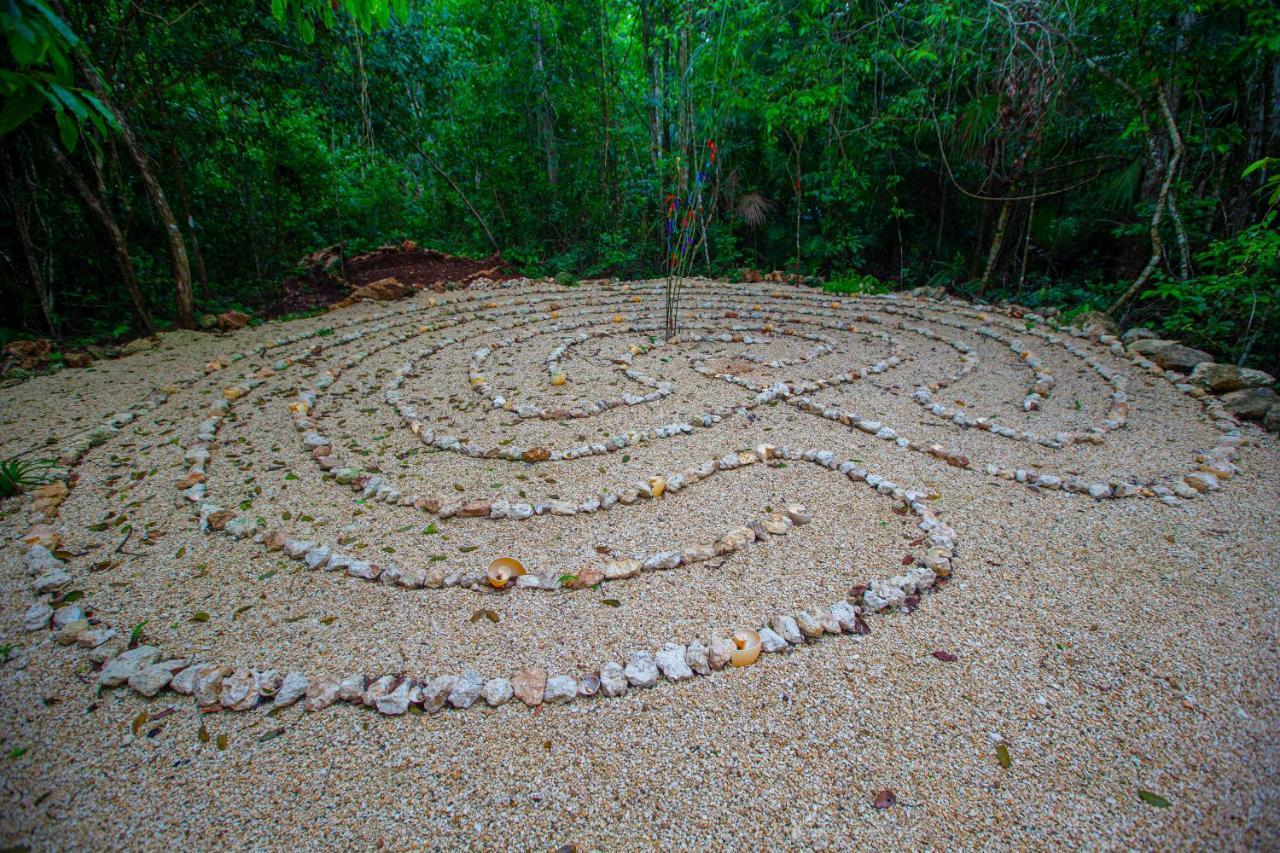 Jolie Jungle Eco Hotel (Adults Only) Leona Vicario Екстер'єр фото