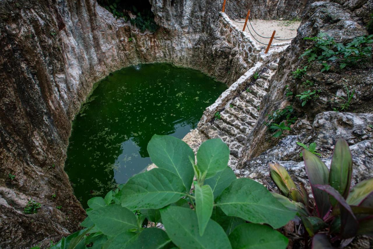 Jolie Jungle Eco Hotel (Adults Only) Leona Vicario Екстер'єр фото