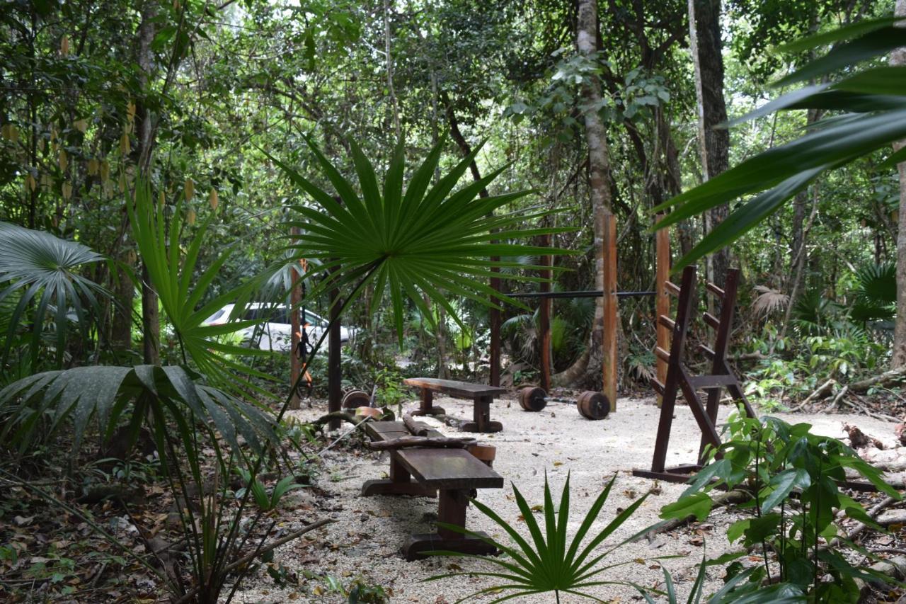 Jolie Jungle Eco Hotel (Adults Only) Leona Vicario Екстер'єр фото