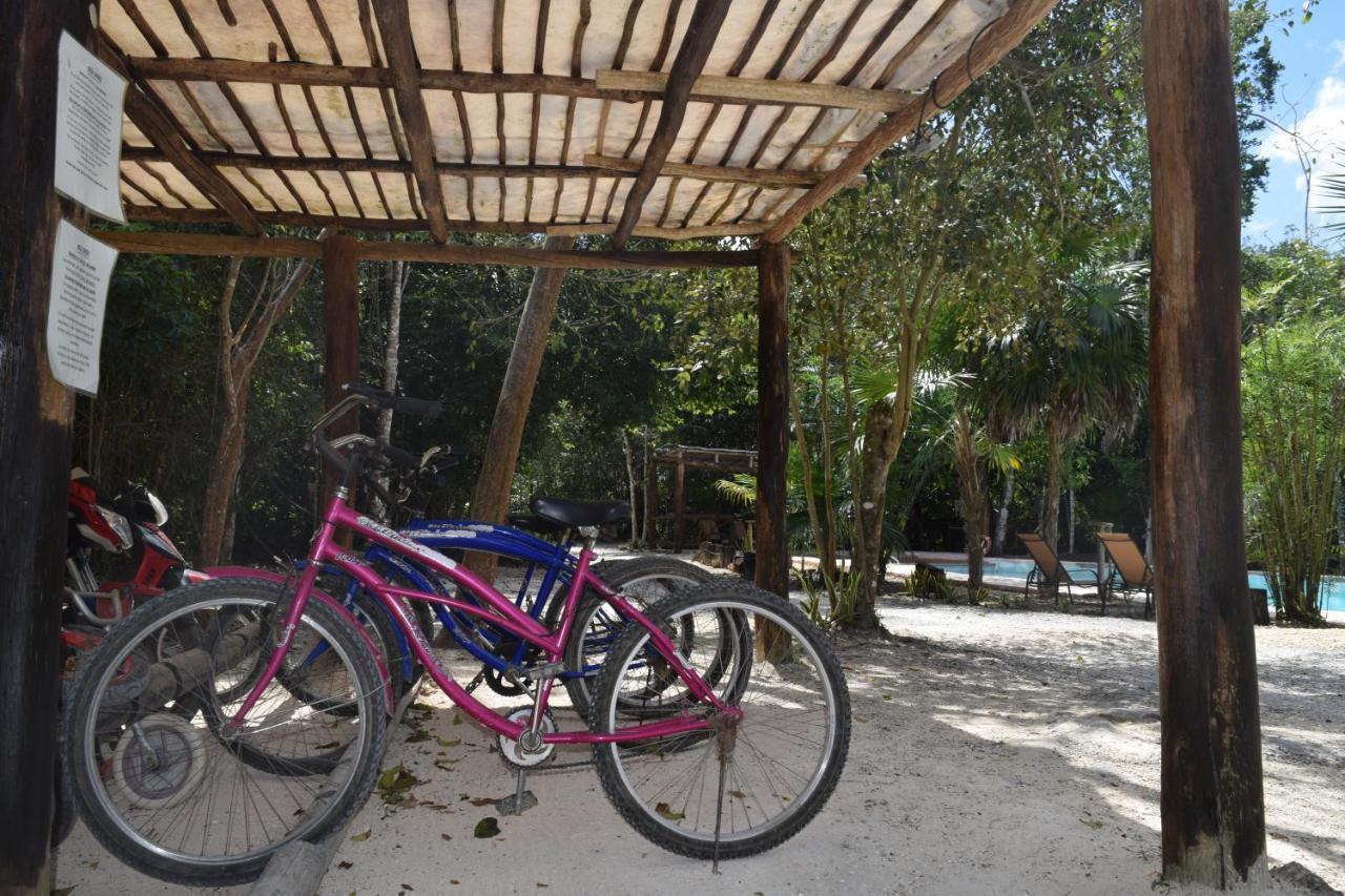 Jolie Jungle Eco Hotel (Adults Only) Leona Vicario Екстер'єр фото