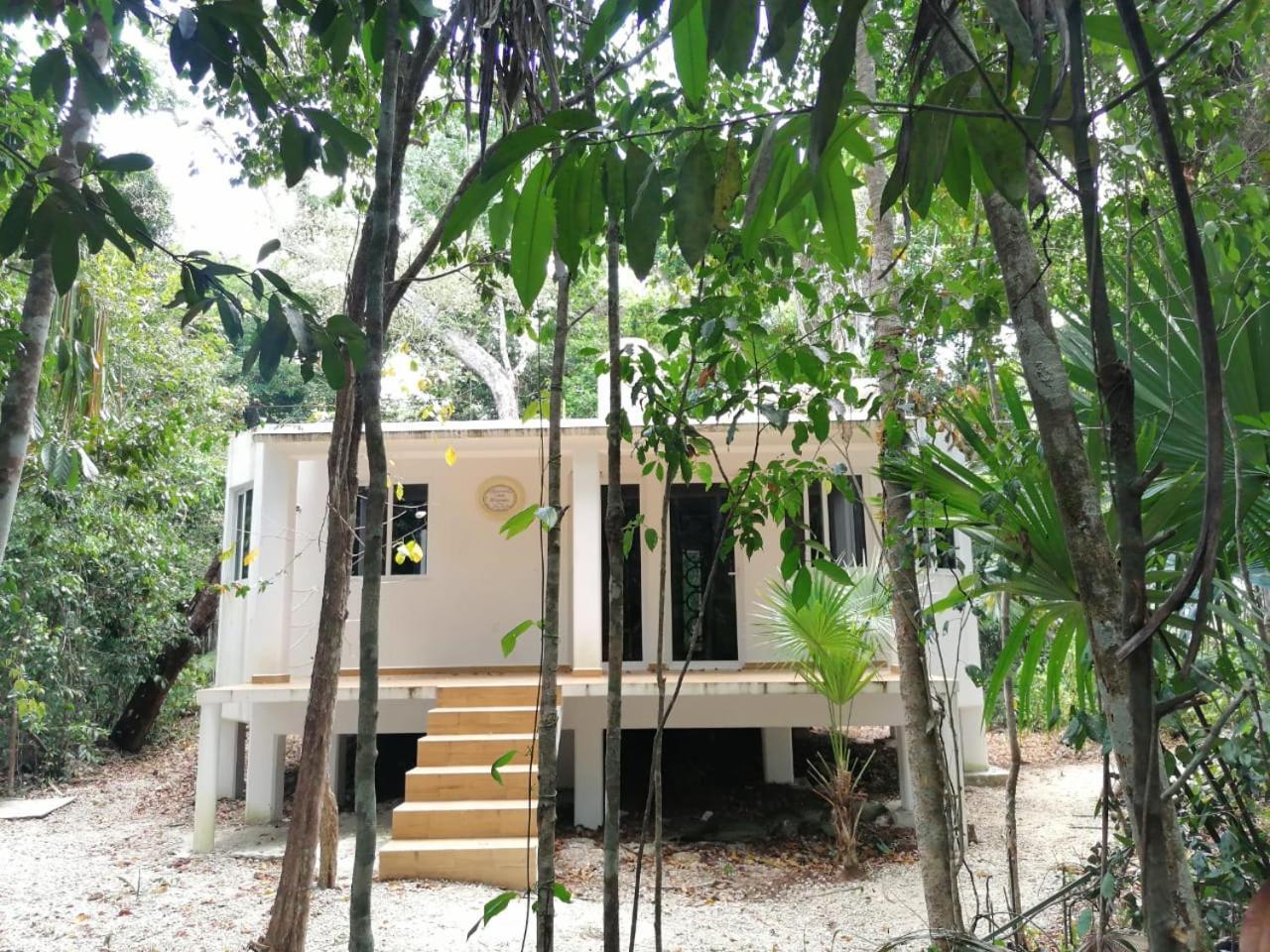 Jolie Jungle Eco Hotel (Adults Only) Leona Vicario Екстер'єр фото