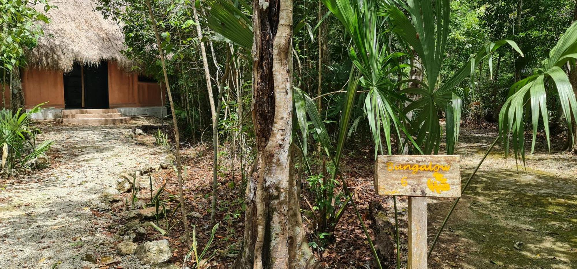 Jolie Jungle Eco Hotel (Adults Only) Leona Vicario Екстер'єр фото