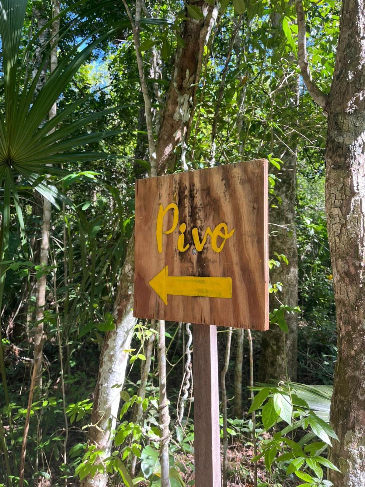 Jolie Jungle Eco Hotel (Adults Only) Leona Vicario Номер фото