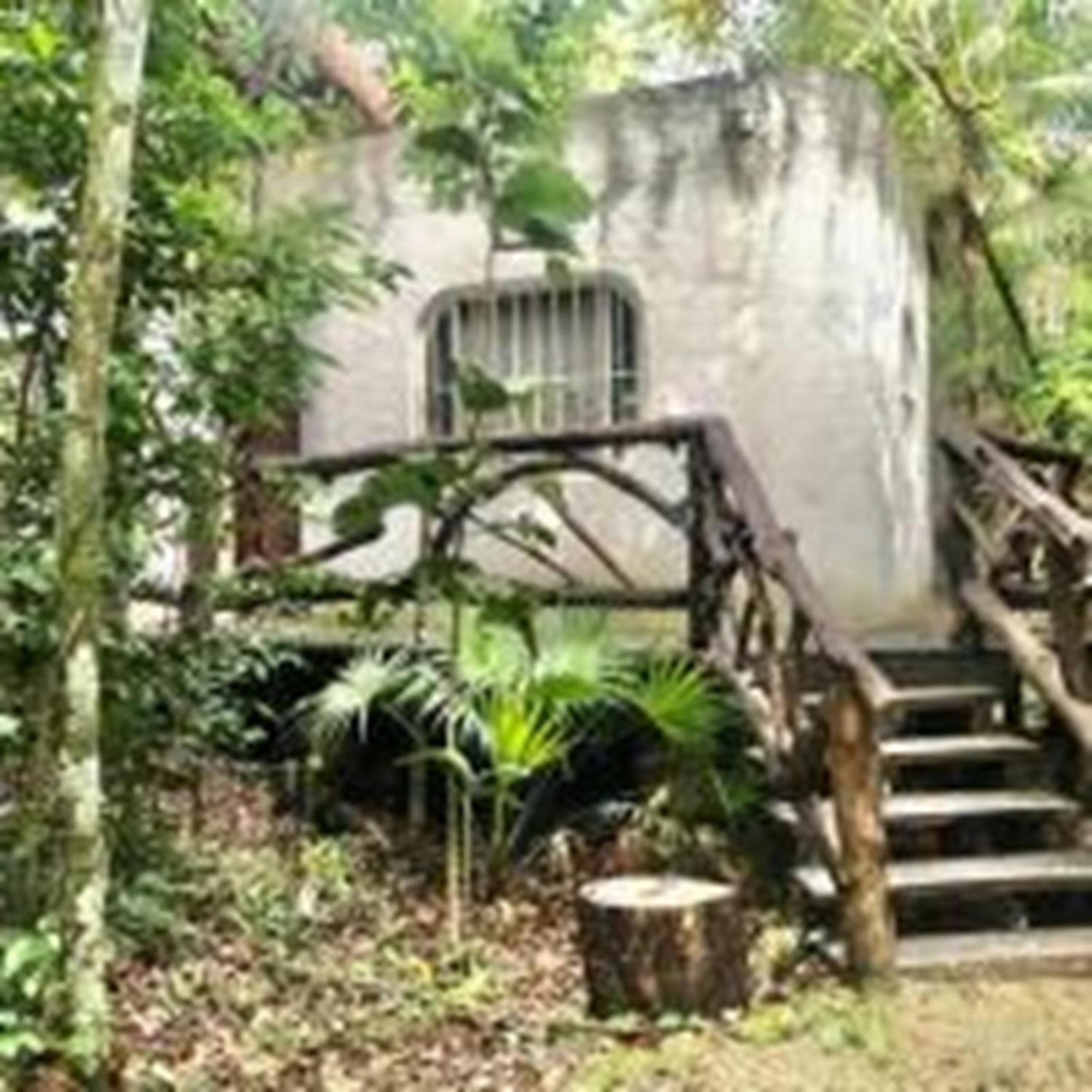 Jolie Jungle Eco Hotel (Adults Only) Leona Vicario Екстер'єр фото