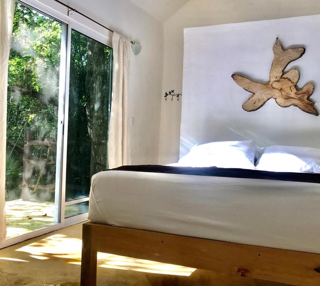 Jolie Jungle Eco Hotel (Adults Only) Leona Vicario Екстер'єр фото